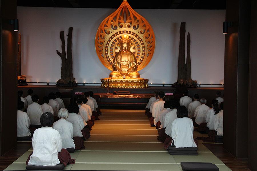 茫,地球環境議題,生命的意義,作繭自縛,找回自己的心,探索自己的本來面目,來禪修吧！