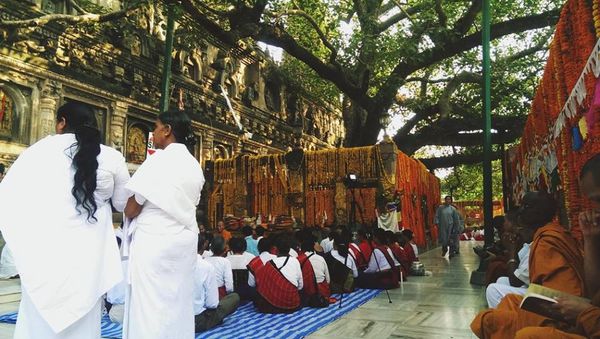 含笑隨筆,佛陀,印度,尼泊爾,禪修,僧人,寧靜莊嚴,靈鷲山,