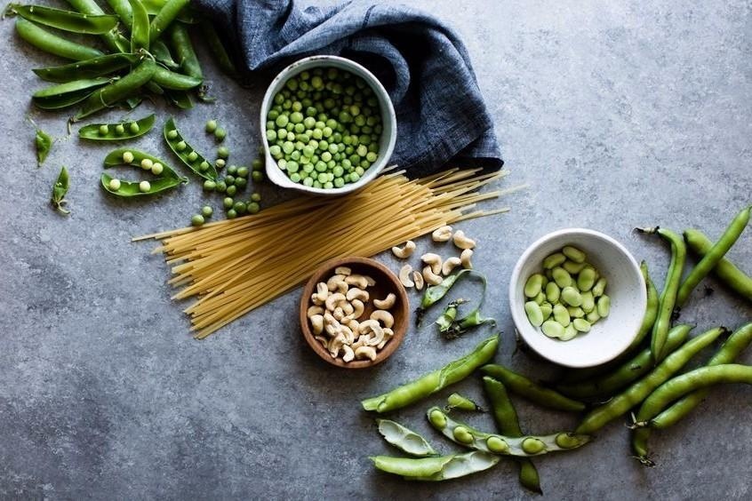 靈鷲山,平安禪,素食,地球,環保,德國,柏林