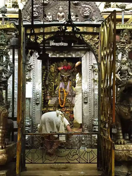 含笑隨筆,佛陀,印度,尼泊爾,禪修,僧人,寧靜莊嚴,靈鷲山,