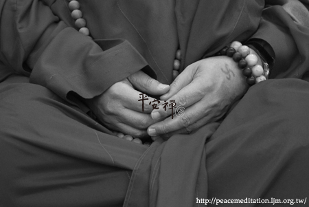 靈鷲山平安禪  心道法師