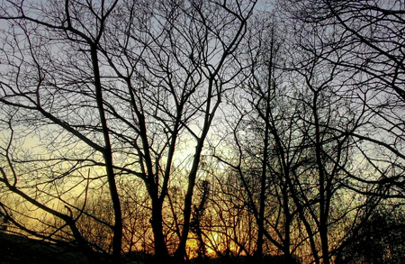 靈鷲山 心道法師 平安禪 禪修 寧靜