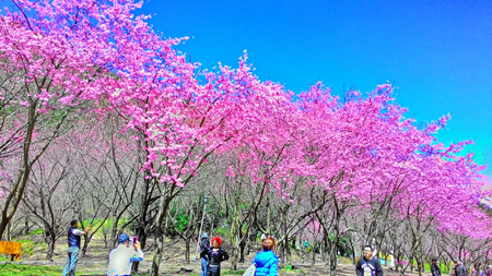 靈鷲山 心道法師 平安禪 禪修 平凡