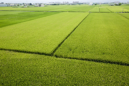 靈鷲山,平安禪,禪修,心道法師,地球,環保,素食
