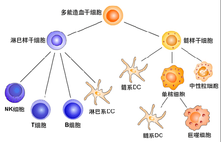 靈鷲山 平安禪 心道法師 禪修 癌 素食 塑膠
