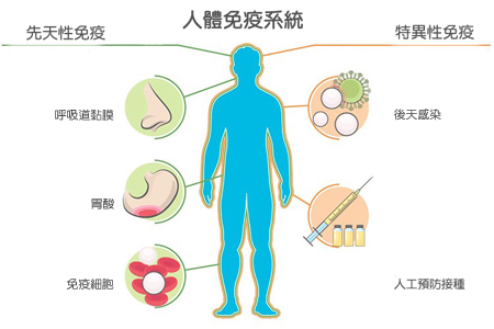 靈鷲山 平安禪 心道法師 禪修 癌 素食 塑膠