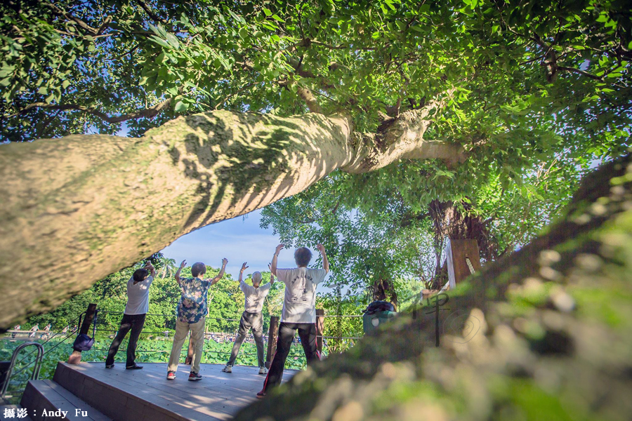 靈鷲山 平安禪 禪修 心道法師 寧靜運動 停心
