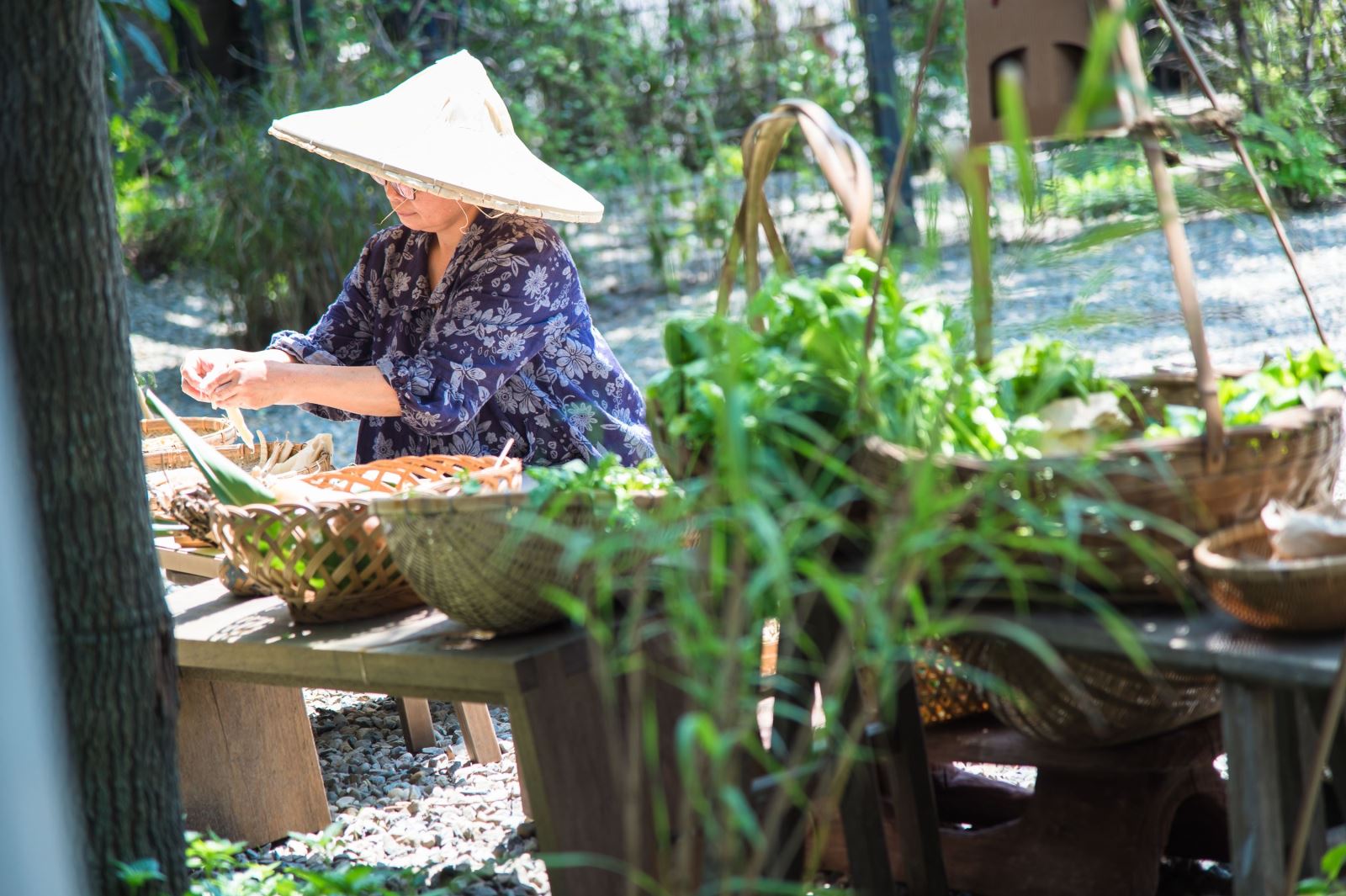 靈鷲山 平安禪 禪修 心道法師 健康 放鬆 友善 耕作 厚食聚落 農產品