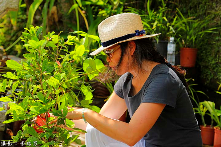 靈鷲山 長壽 身體 心身 心理平衡