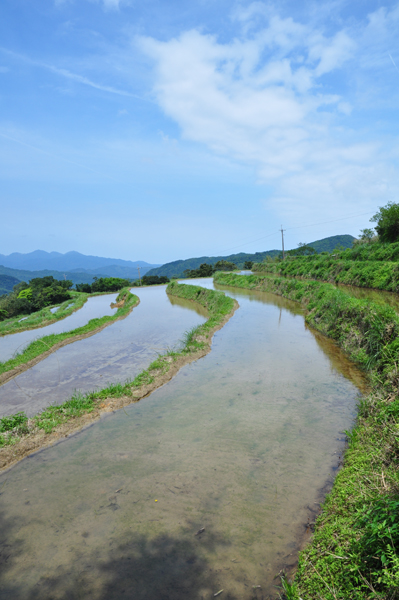 靈鷲山,平安禪,心道法師,地球,環保,楊從貴,福隆,貢寮,田寮洋濕地,樊花錦,友善大地