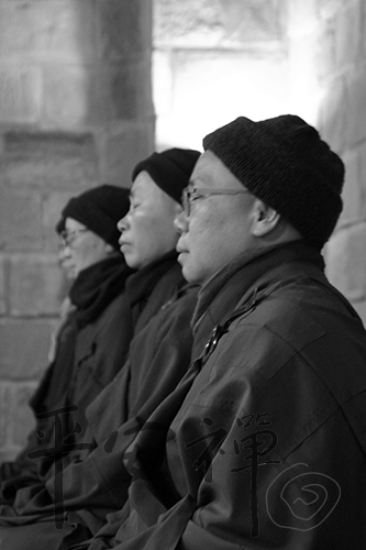 靈鷲山 平安禪 禪修 心道法師 禪坐 健康  修行 放鬆