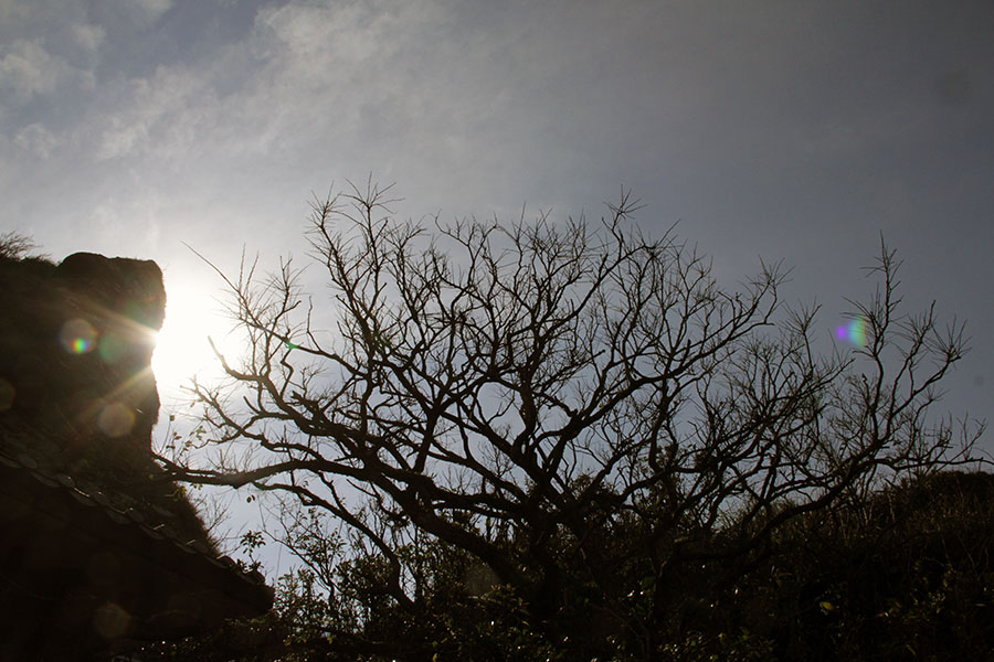 靈鷲山 平安禪 禪修 禪坐 觀音 聆聽 收攝