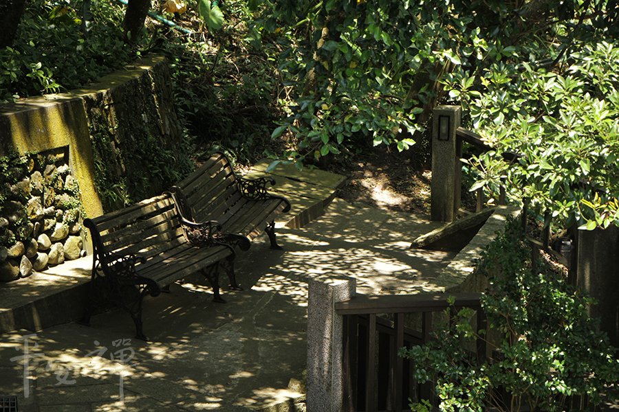 靈鷲山,心道法師,禪修,禪坐,平安禪,回家,寂靜,明心見性