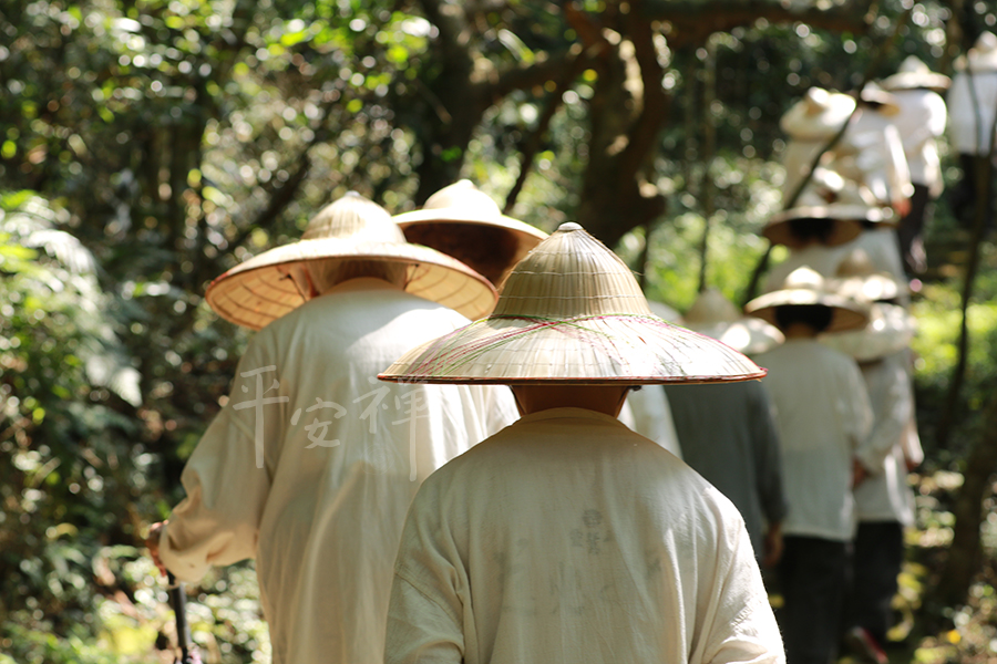 靈鷲山,心道法師,平安禪,斷食,禪修,坐禪,行禪,正能量,呼吸,寧靜