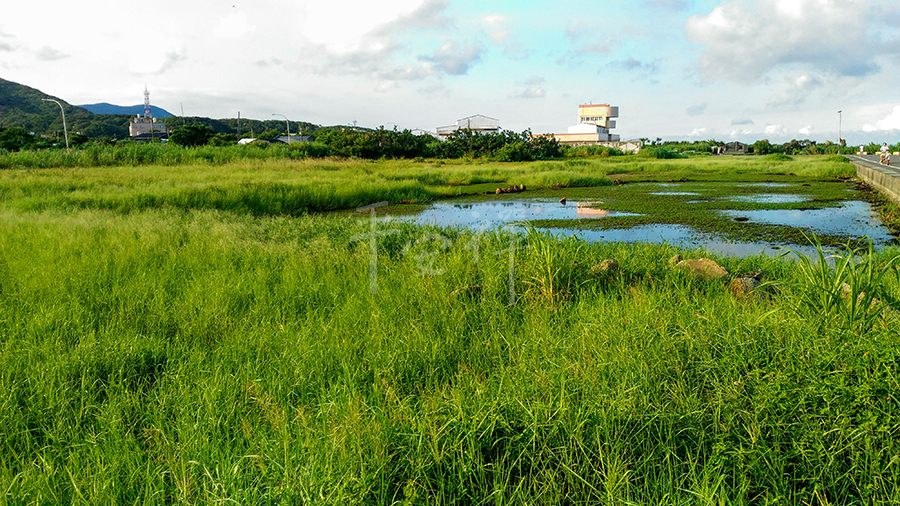 靈鷲山,淨灘, 愛地球，愛和平, 禪修, 亂丟垃圾的人, 掃地，掃心地；淨灘，淨心田, 修行就在生活裡,心道法師