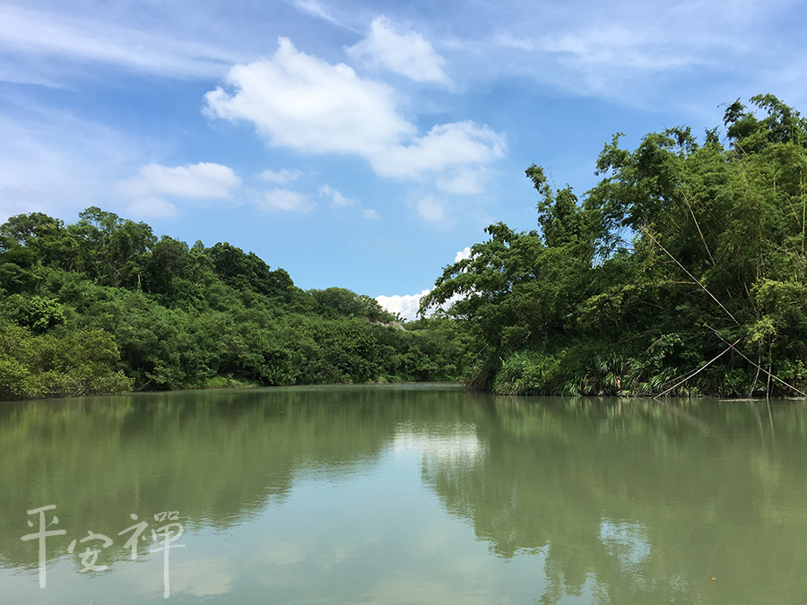靈性的食物能展現智慧,天地菁華,不用特殊「藥用」食材,有機栽培的安全蔬菜