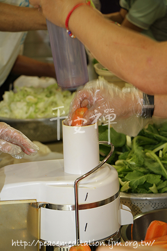 靈鷲山,平安禪,斷食禪修,福隆,心道法師,種福田