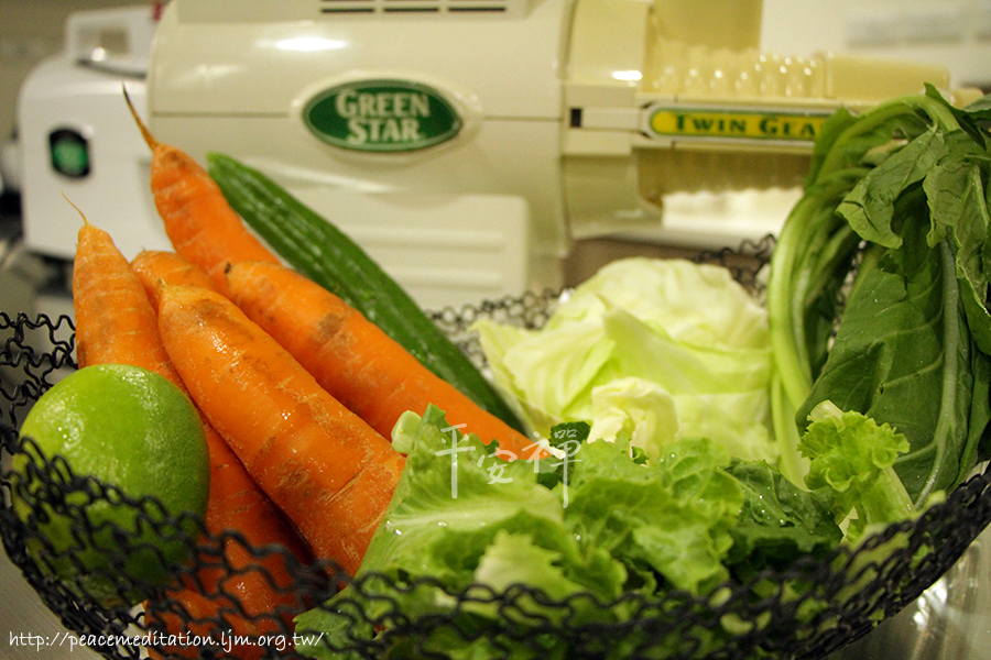 靈鷲山,平安禪,斷食禪修,福隆,心道法師,種福田