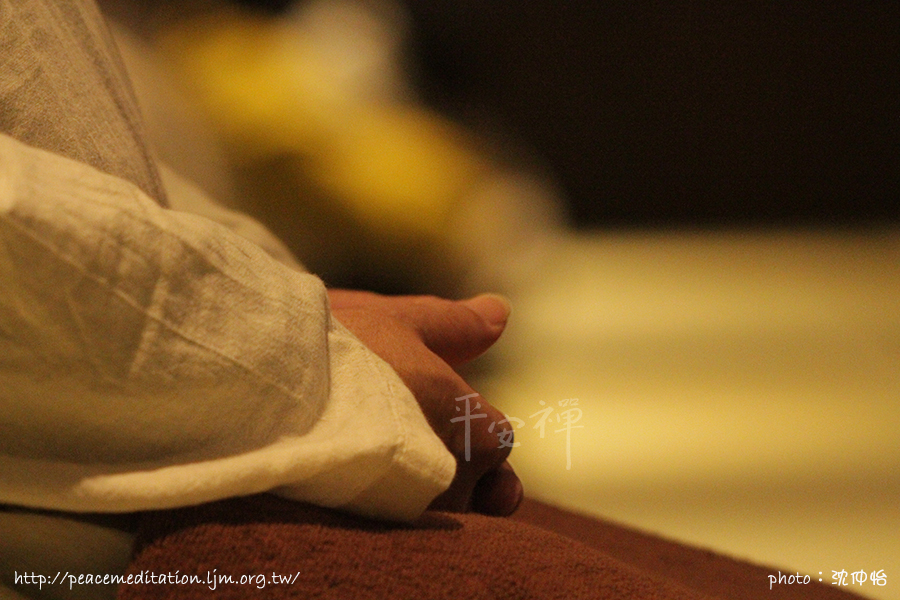 禪修,平安禪,禪旅行,心道法師,收攝,生命,我是誰,觀照,呼吸