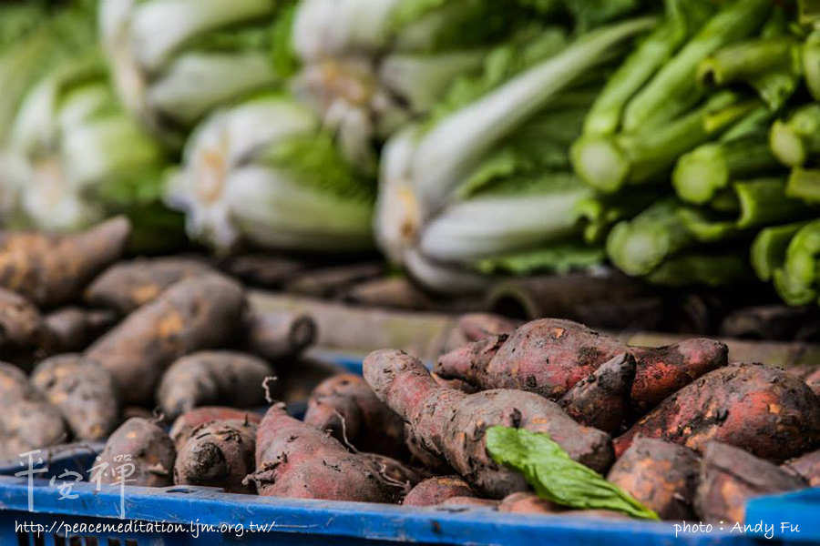 素食,心道法師,平安禪,禪修,蔬菜,Google,員工餐廳,速食漢堡,寧靜革命