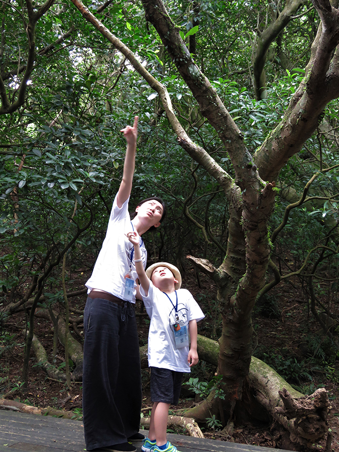 靈鷲山,樂活親子禪,心寧靜,禪修,禪坐