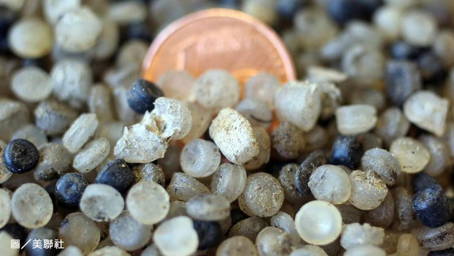 塑膠微粒,世界衛生組織,水源,禪修,心道法師,有機農場,台灣