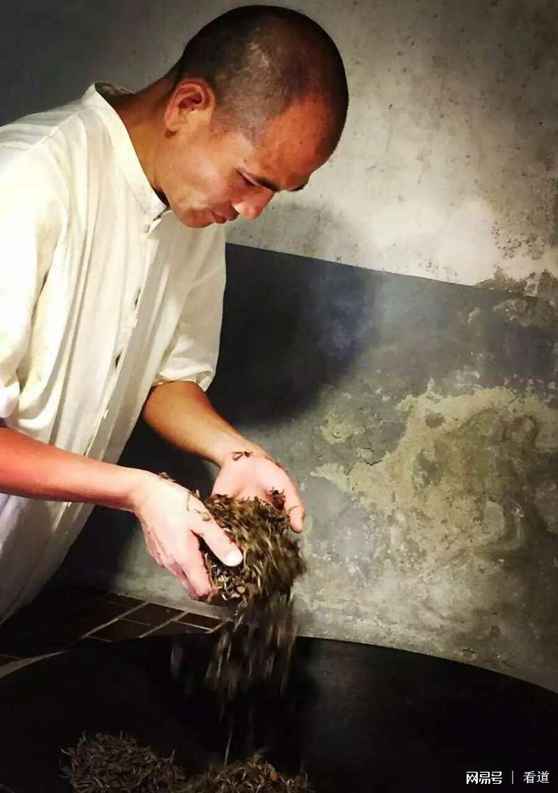 茶,禪修,高定石,野放茶人,自然農法,食養山房林炳輝,打坐,