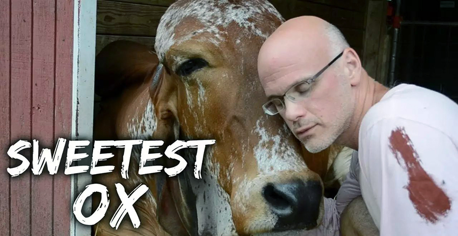 加里尤樂夫斯基（Gary Yourofsky）,ADAPTT,動物保護者,素食主義者,生命的意義,愛地球