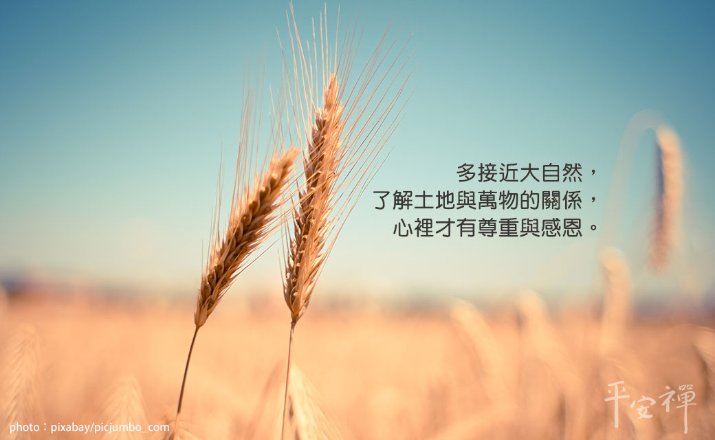 世界糧食日,努力實現零飢餓,氣候變遷,聯合國糧農組織,心道法師,全球暖化,農業,愛心