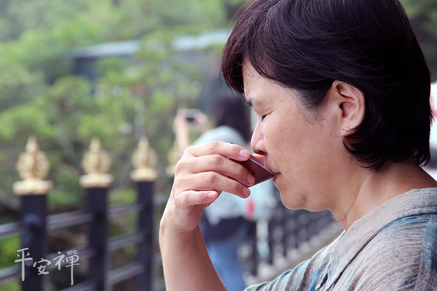靈鷲山,茶禪,茶農,禪修,學佛,林淑子,平安禪,喫茶去,趙洲禪師