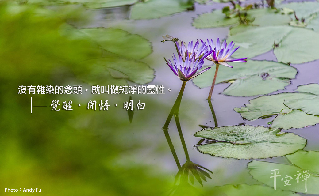 生命,心道法師,禪修,記憶雲端,輪迴生死