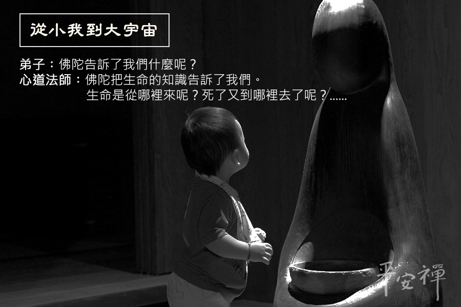 從小我到大宇宙,佛陀,生命的原動力,因果不可逃,心道法師