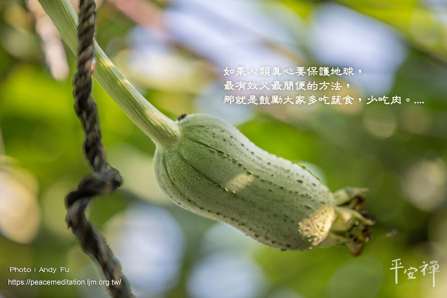 愛爾蘭女總統瑪麗羅賓森(Mary Robinson),氣候變遷,暖化,碳排放量,地球,生態靈性,心道法師,靈鷲山,環保