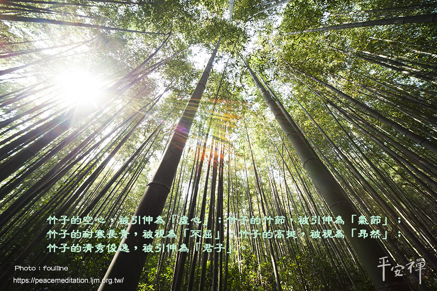 竹子,靈鷲山,佛陀,心道法師,竹林精舍,僧院