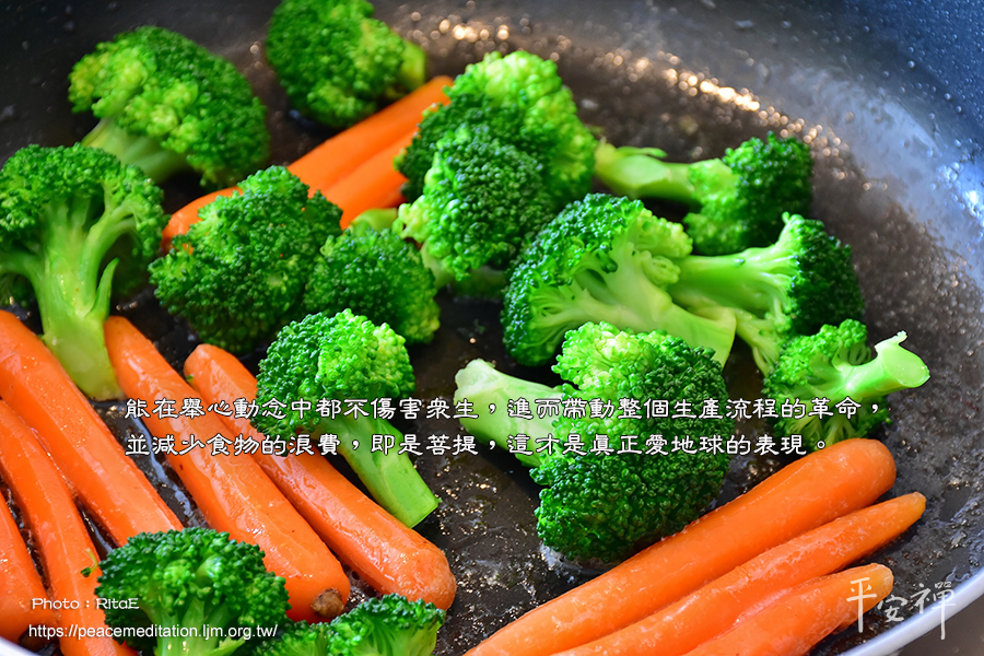 靈鷲山,平安禪,心道法師,蔬食,地球,飲食環境,氣候變遷,菩提