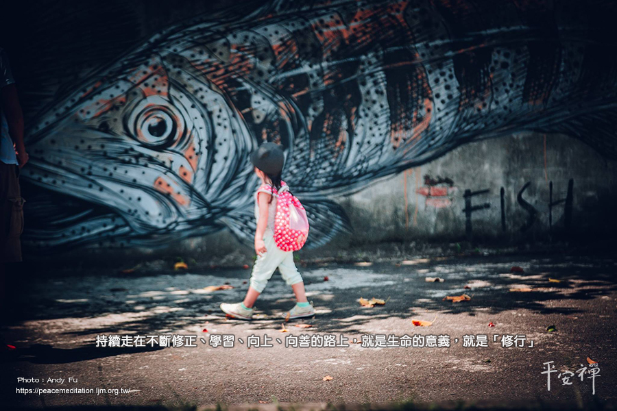 幸福綠皮書,修行,生命,歧視,機會教育,奧斯卡金像獎,金球獎,友善