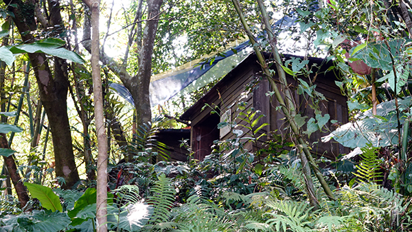 心道法師,靈鷲山,禪師,斷食,健康,靈性,禪修,