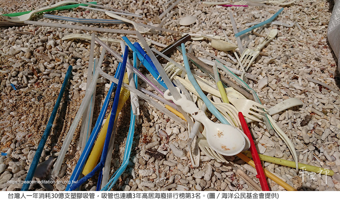 減塑,零廢棄生活,My Plastic Free Life,沙灘,保特瓶,購物袋,吸管,荒野保護協會,竹牙刷