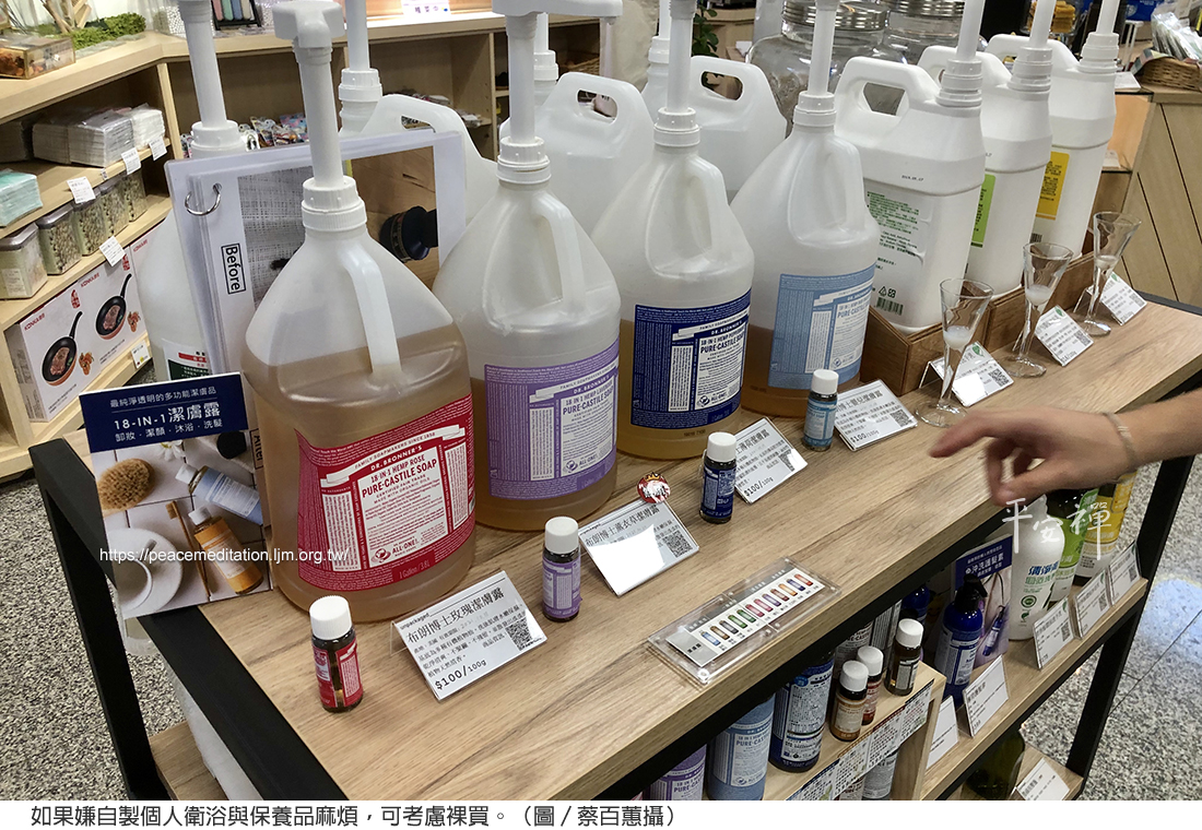 減塑,零廢棄生活,My Plastic Free Life,沙灘,保特瓶,購物袋,吸管,荒野保護協會,竹牙刷