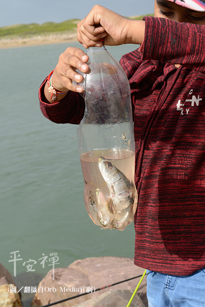 塑料,汙染,海洋,塑膠微粒,人類