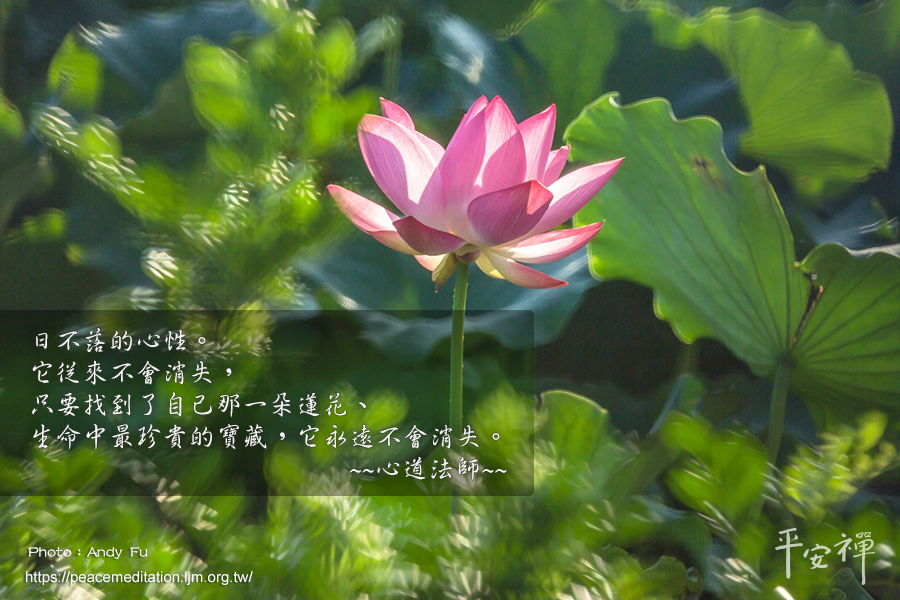 平安禪四步驟,禪修,坐禪,打禪,法工,學佛,日部落的心性,心道法師,靈鷲山,斷食