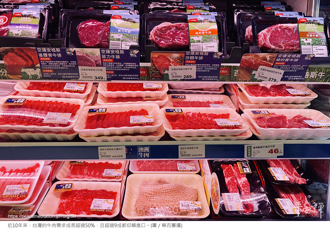 氣候變遷,碳排放,素食,心道法師,亞馬遜雨林,地球之肺,火災,牛肉,蘆筍,世界雨林,石油業