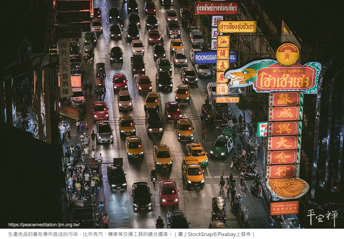 氣候變遷,碳排放,素食,心道法師,亞馬遜雨林,地球之肺,火災,牛肉,蘆筍,世界雨林,石油業