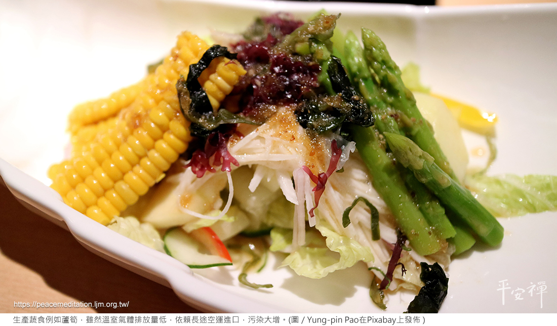 氣候變遷,碳排放,素食,心道法師,亞馬遜雨林,地球之肺,火災,牛肉,蘆筍,世界雨林,石油業