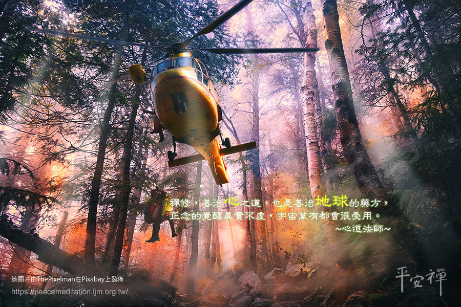 禪修,氣候變遷,環境,綠色和平組織,世界氣象組織,心道法師,靈鷲山,野火,海平面,聯合國,桑柏格