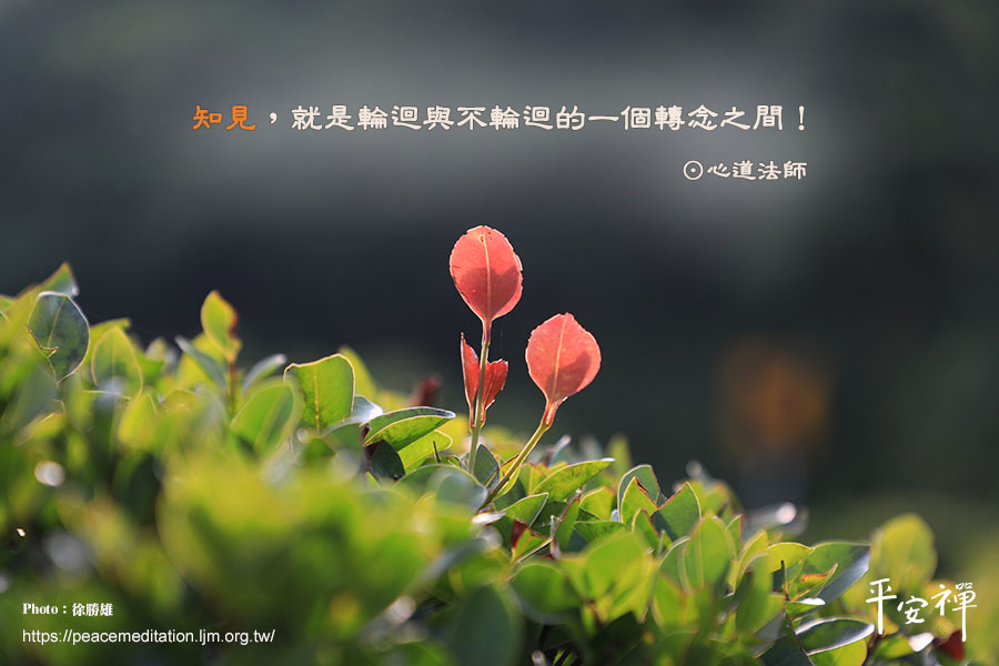 禪宗,知見,懺悔,輪迴,心道法師,閉關,四部驟平安禪法