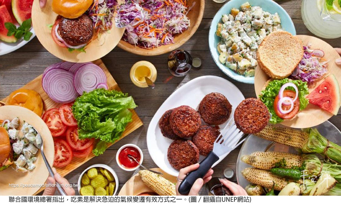 蔬食,素食,碳排放,人造肉,氣候變遷,畜牧業,水資源,心血管疾病,環保,平安禪