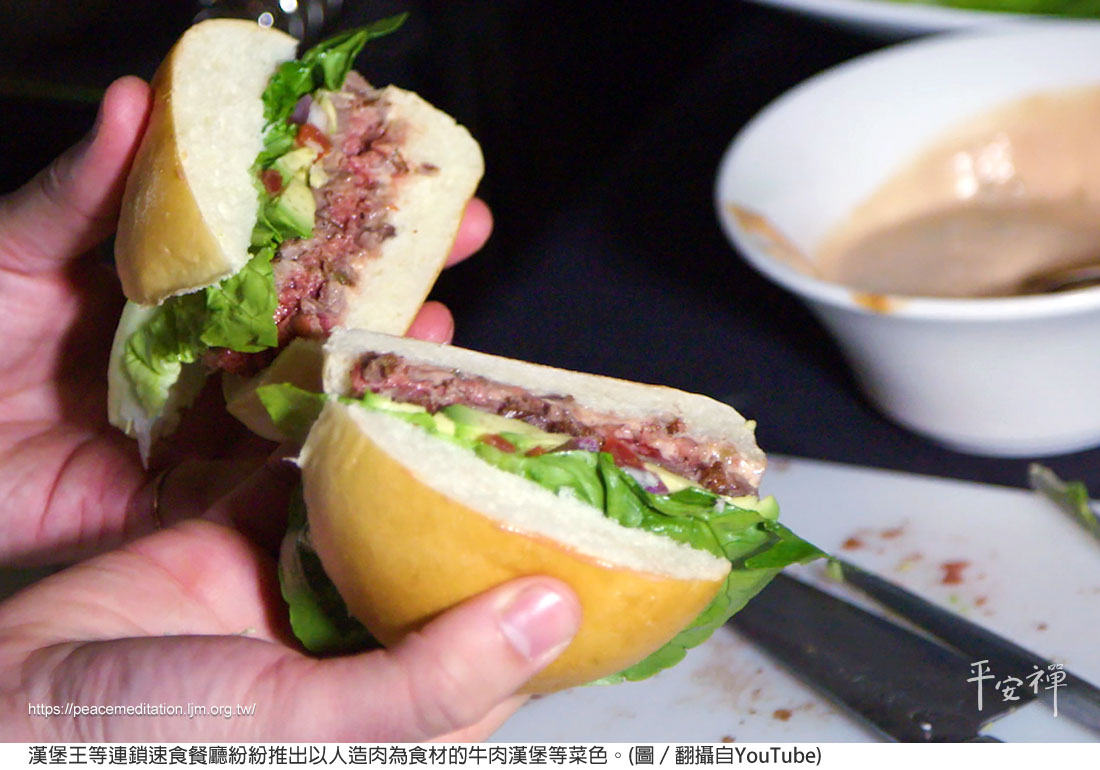 蔬食,素食,碳排放,人造肉,氣候變遷,畜牧業,水資源,心血管疾病,環保,平安禪