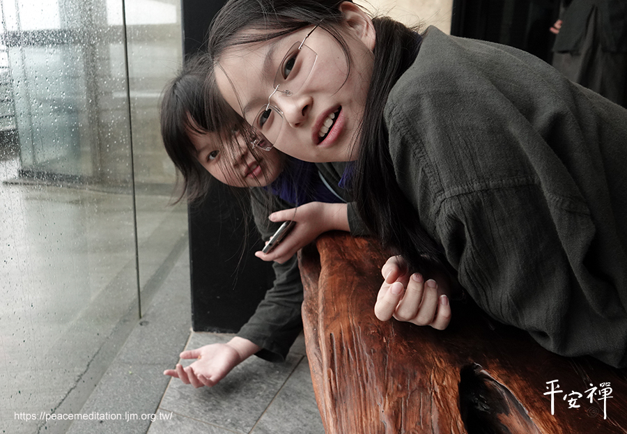 禪修,法工,靈鷲山,禪關,昆蟲,素食,綠色飲食革命,珍古德,地球環保,打坐,菩薩,