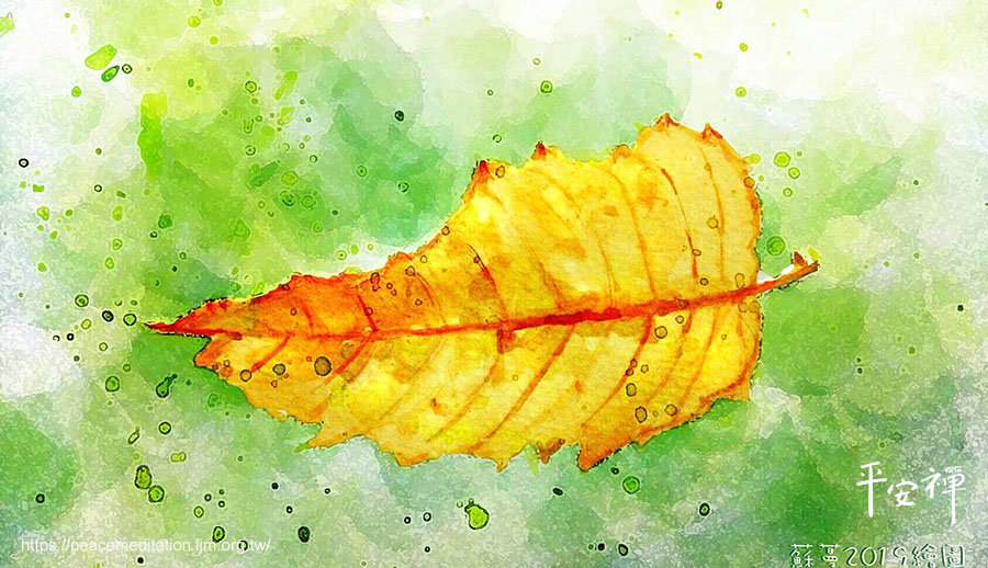 斷捨離,平安禪,禪修,靈鷲山,心道法師,心靈